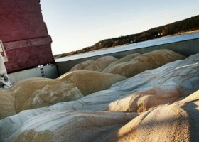 Estados Unidos: buscan mejorar la harina de soja