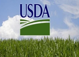 USDA prevé reducción en siembra de maíz, soja y trigo en EEUU en 2015/2016
