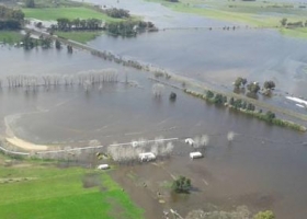Las inundaciones ya impactan en la expectativa de producción de 2016