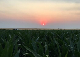 En 2016 la agroindustria ingresó más de US$ 28.000 millones