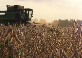 En el primer bimestre del año la región pampeana transfirió regalías sojeras por más de 950 M/$ al resto del país