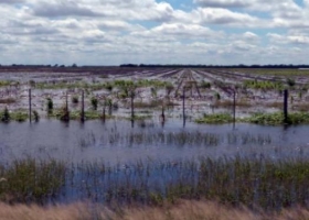 Inundaciones: están en riesgo unos u$s 5000 millones